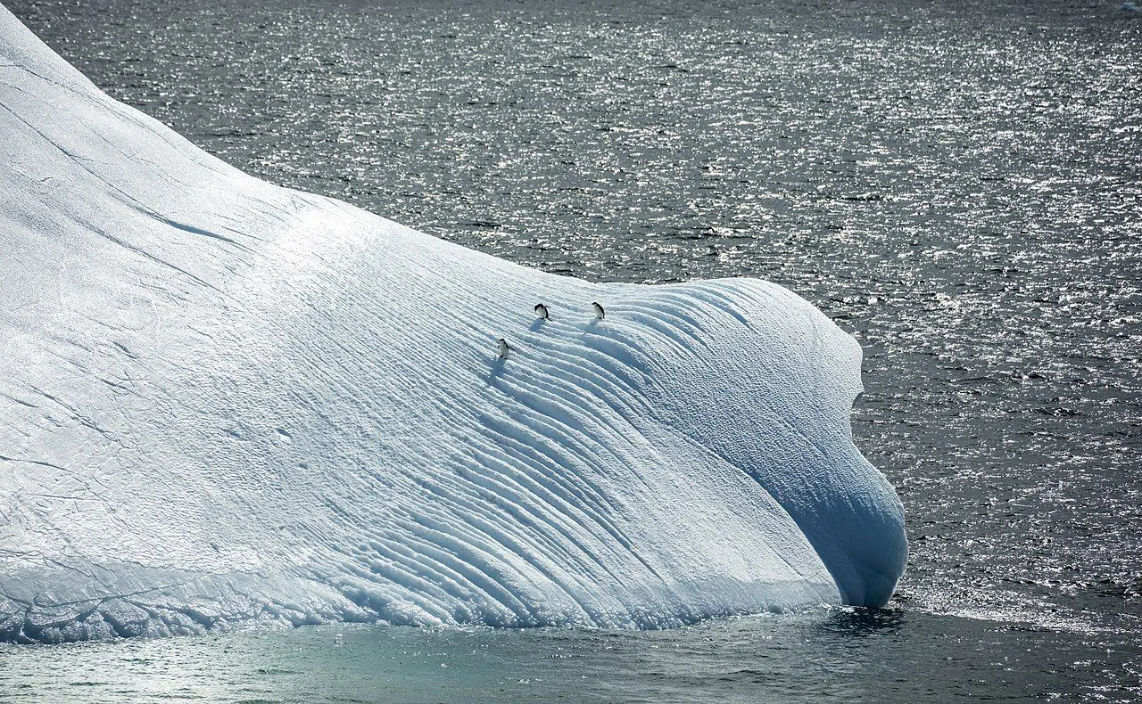 Sea ice at the edge of a polar ocean